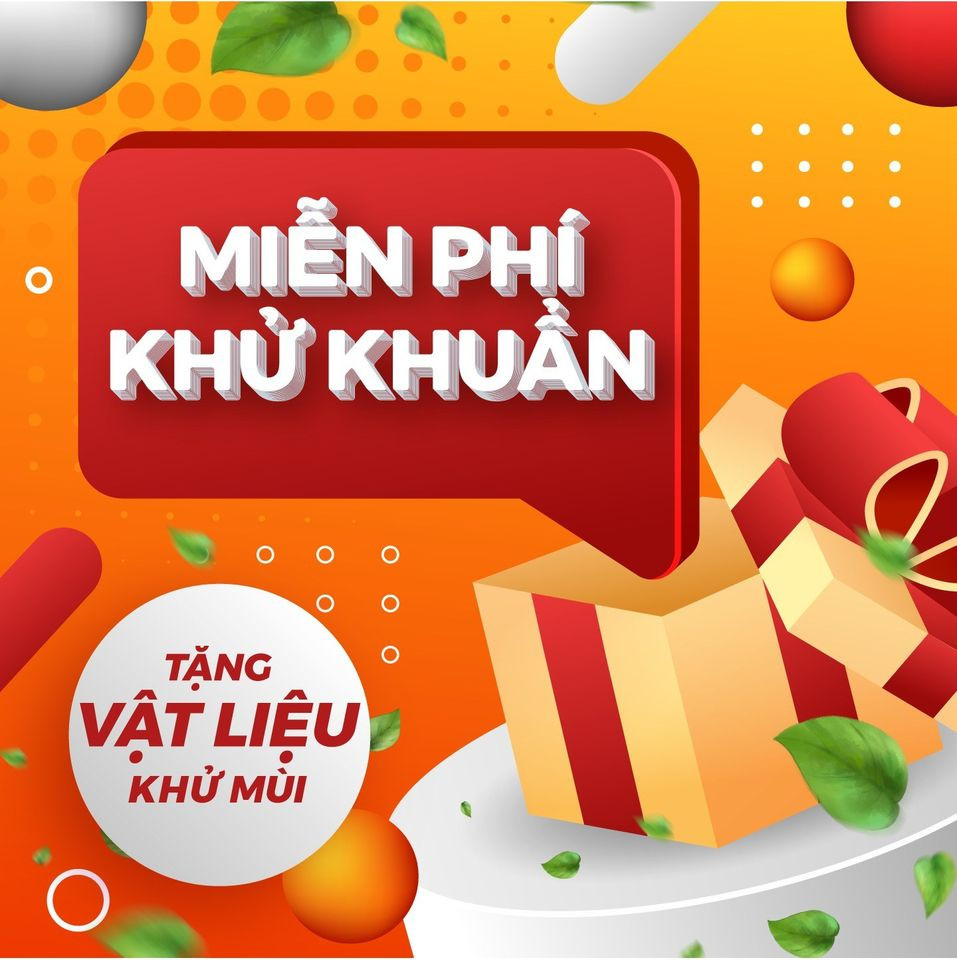 334217534 723555762651502 8621058756129512754 N